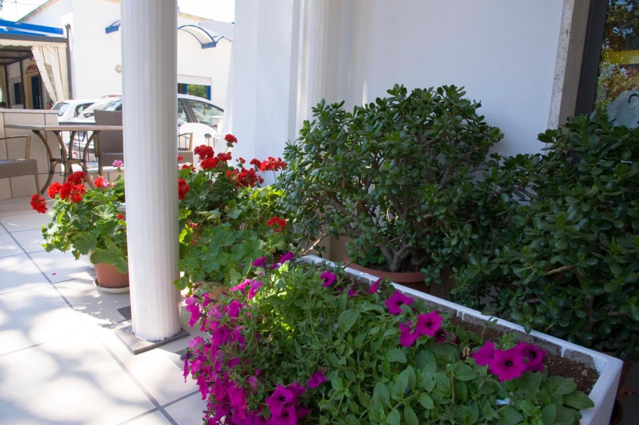 Hotel Maris Stella Riccione Dış mekan fotoğraf